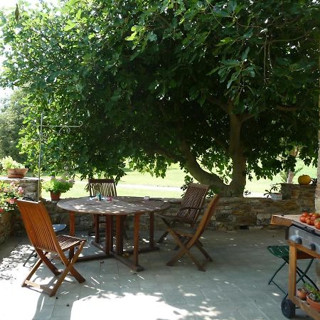 Podere Pian Di Cava Castelnuovo di Val di Cecina Exterior foto